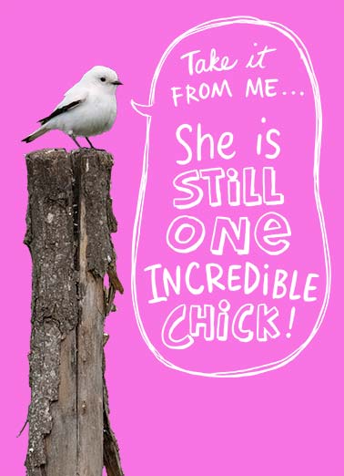 Awesome Chick Funny Birthday   A sweet birthday card about a bird saying that you are 'one incredible chick'. | happy birthday one incredible chick little birdie bird sweet A little birdie told me you were having a birthday.